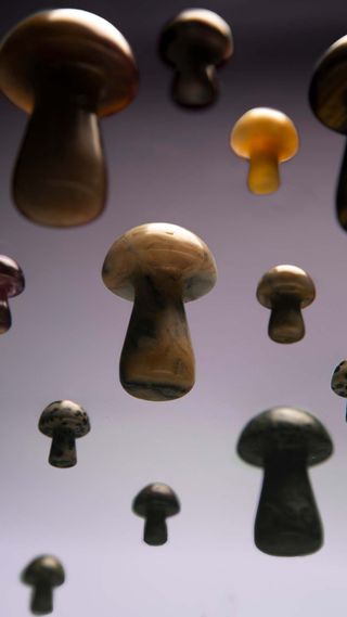 Mushroom gua shas