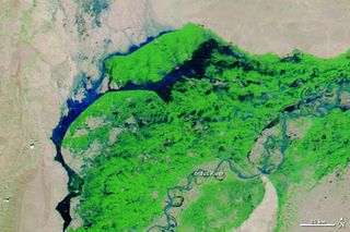 NASA's Aqua satellite acquired this image of flooding in Pakistan on Sep. 21, 2012. Water appears light to dark blue; darker areas have deeper water. Vegetation is green, and bare ground appears gray or beige.