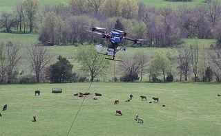 AT&T's Flying COW provided 5G coverage to a field of cows.