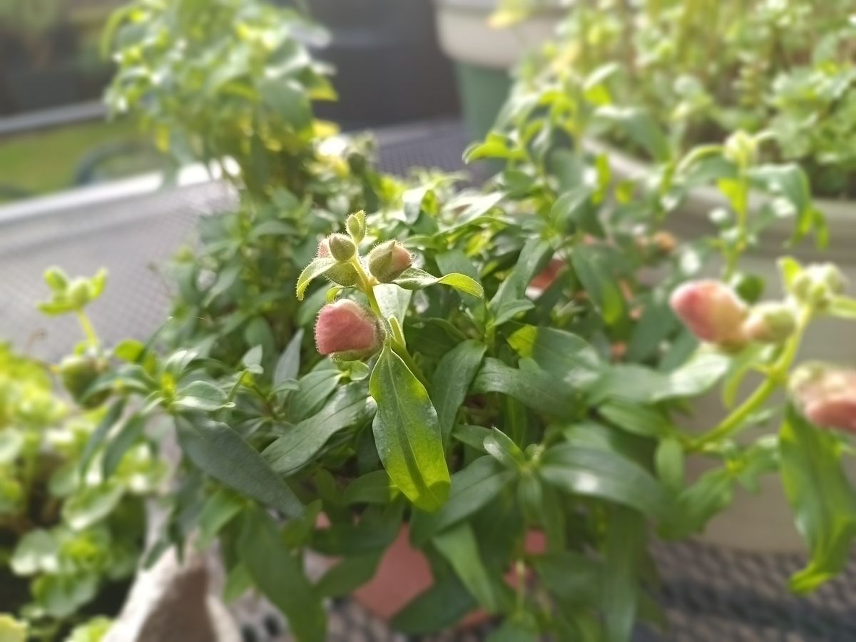 Fossibot F102 Photo Examples