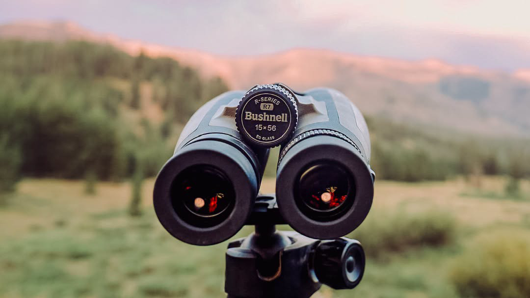 Bushnell R7 binoculars