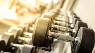 Rack of dumbbells