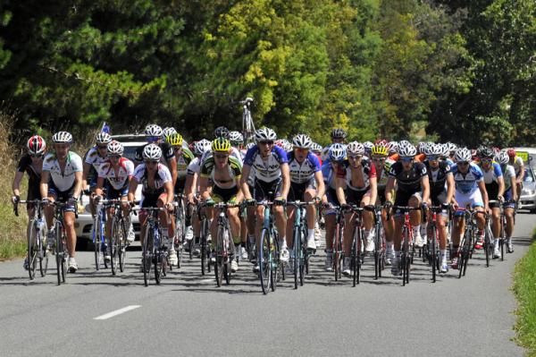 The peloton swelter under the midday sun