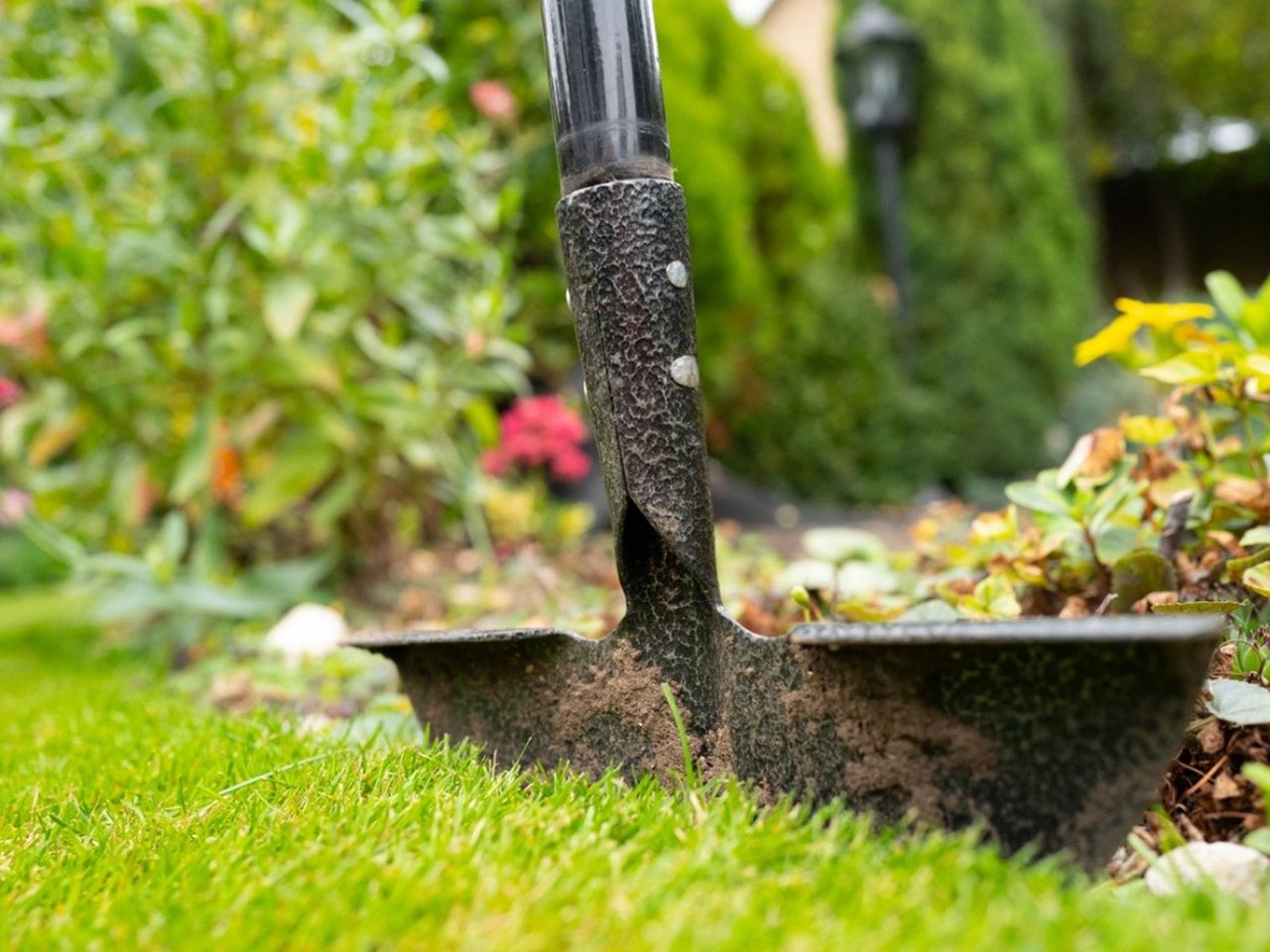 A garden bed edging tool stuck into the ground on the edge of a lawn