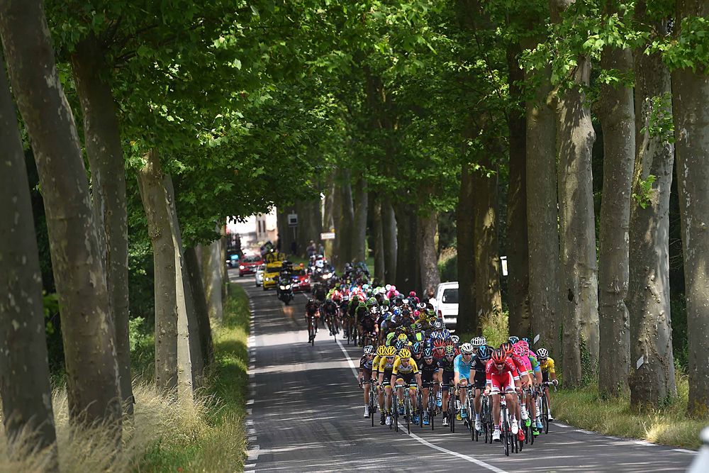 The field during stage 2
