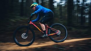 best hardtail mountain bike for beginners
