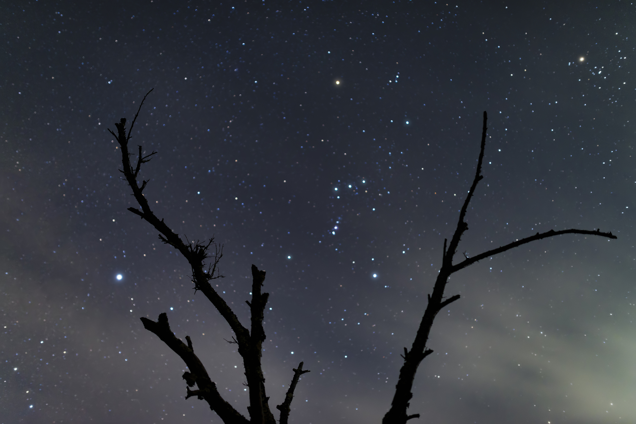 Orion constellation in the night sky