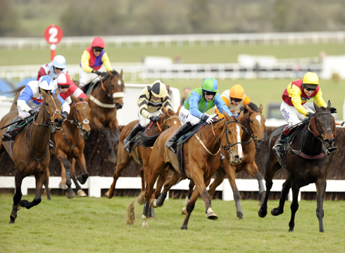 Cheltenham-3.jpg