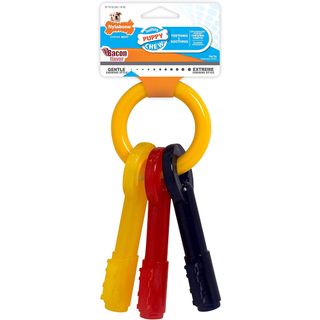 Nylabone Teething Puppy Chew Keys