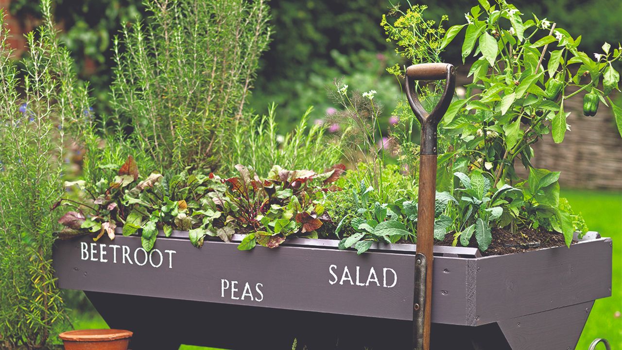 A garden with a raised vegetable border and gardening tools