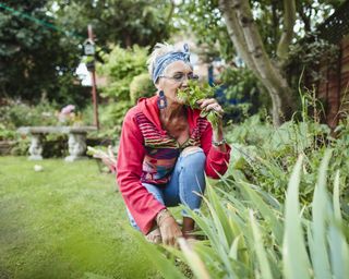 Woman smells mint in her garden