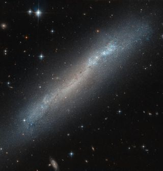 The Hubble Space Telescope spied the blue and orange stars of the faint, tilted galaxy NGC 2188, which is estimated to stretch about 50,000 light-years across. The galaxy, thought to be about half the size of the Milky Way, sits in the constellation Columba (the Dove).