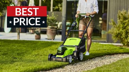 Greenworks lawn mower deal