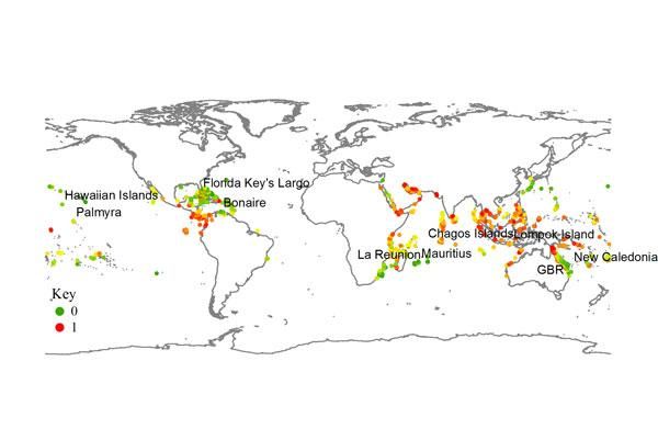 coral-reef-streel-map-110812-02