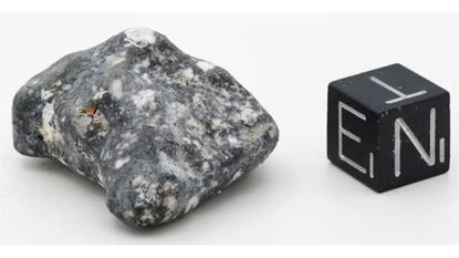 A fragment of the Asteroid 2024 BX1 recovered in Germany is a rare class called Aubrite.