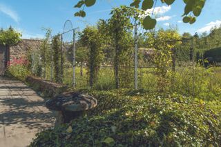 Garden Requisites wirework trellis fence