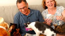 couple feeding cats on sofa