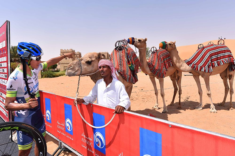 Abu Dhabi Tour
