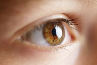 A closeup images of a child's eye