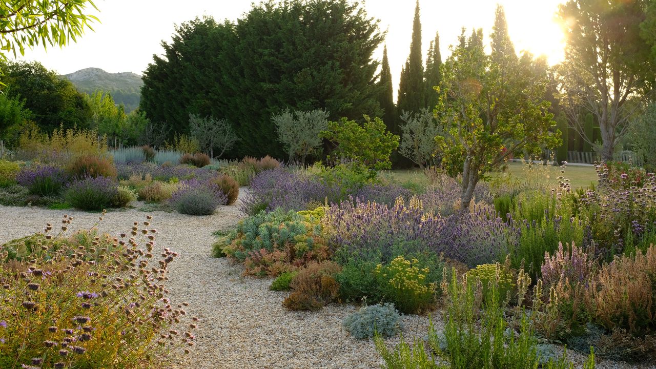 How to plan a dry garden ideas for plants and landscaping Homes