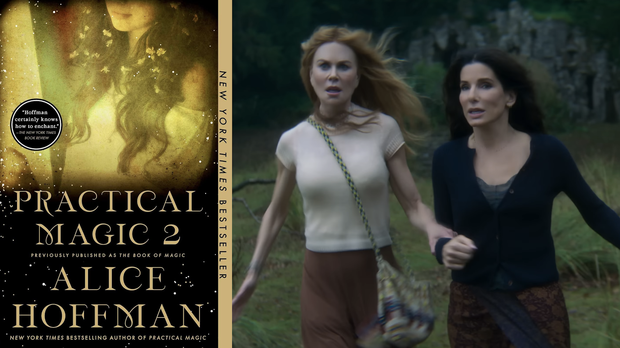 Practical Magic book and movie