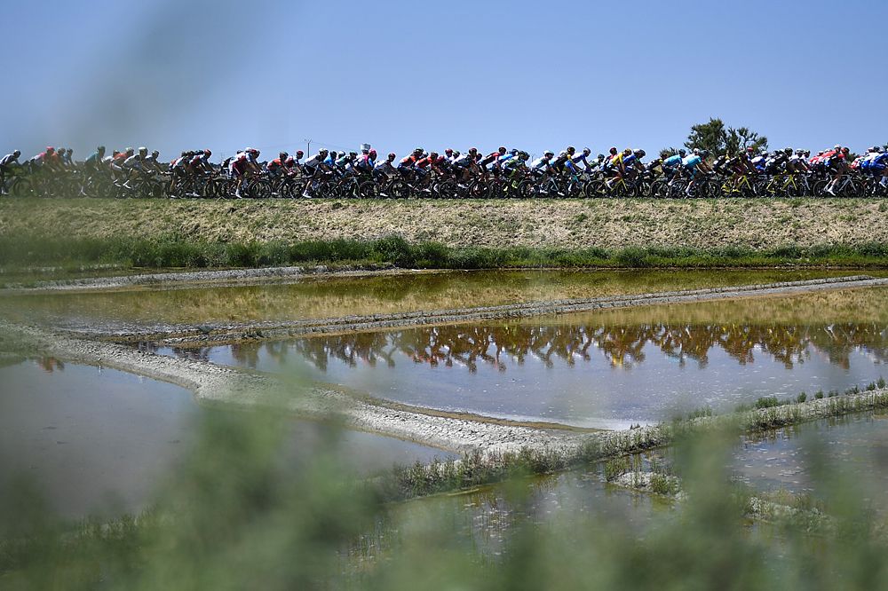 The peloton during stage 4 at the Tour de France