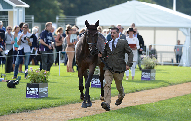 Denis Mesples (FRA) riding OREGON DE LA VIGNE during the 1st Vet Check at The Land Rover Burghley Horse Trials near Stamford in Lincolnshire UK on 31st August 2016