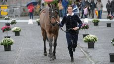 Bubby Upton at Pau Horse Trials: dressage times now released
