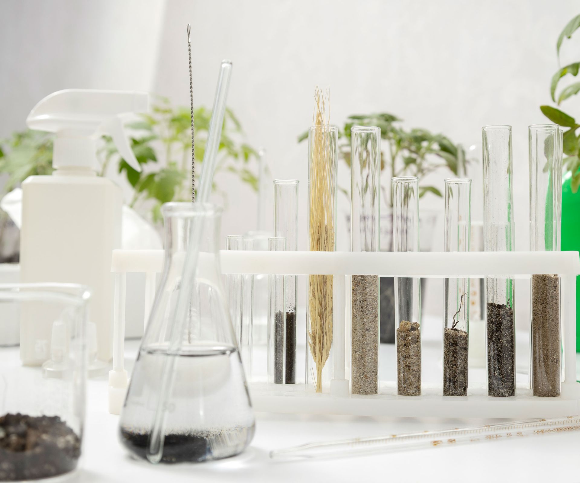 laboratory with jars and test tubes of soil samples
