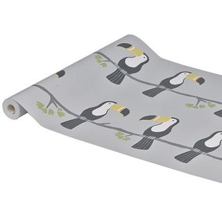 toucan bird wallpaper roll