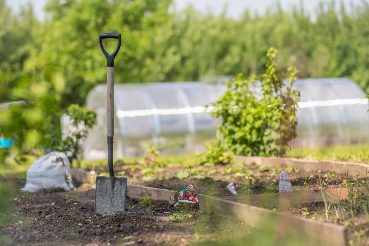 Garden With Tools And Plants