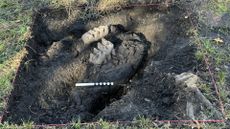 a mastodon jaw in the dirt