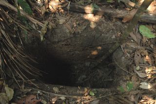 One of the many deep holes dug by the man.