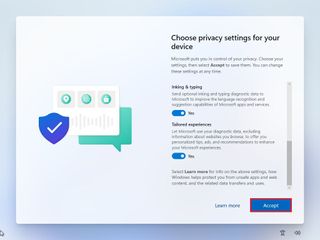 Windows 11 OOBE choose privacy settings