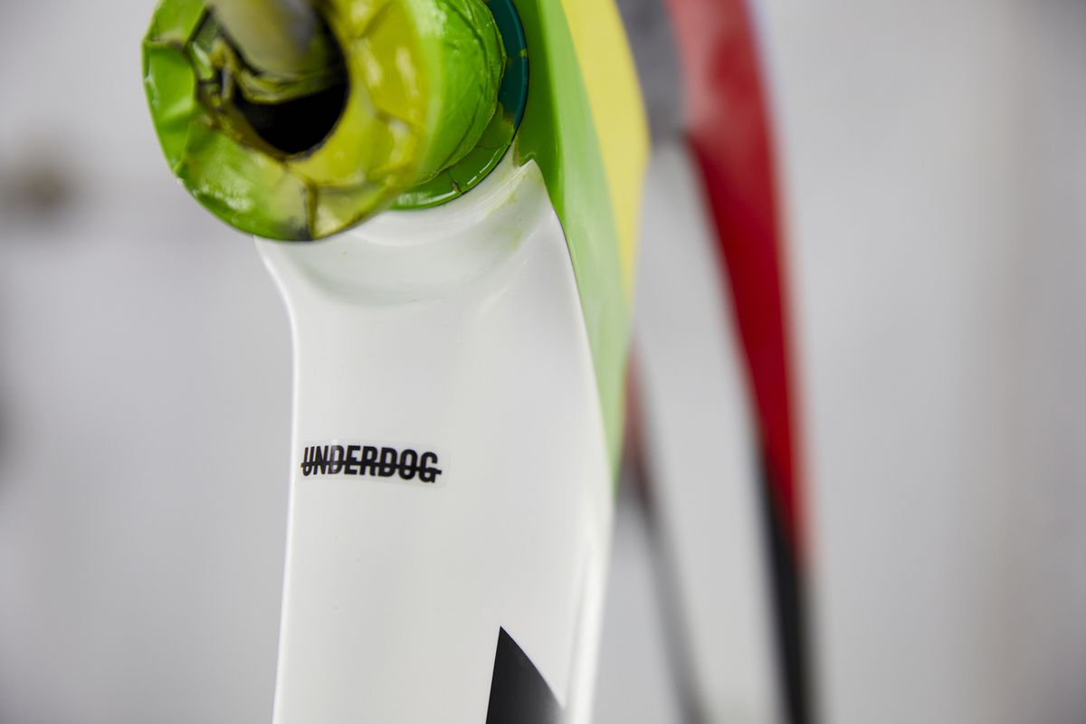 Mads Pedersen's World Champion Trek Madone