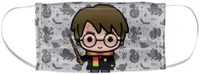 Harry Potter Pleated Face Mask: was $14 now $9 @ Amazon