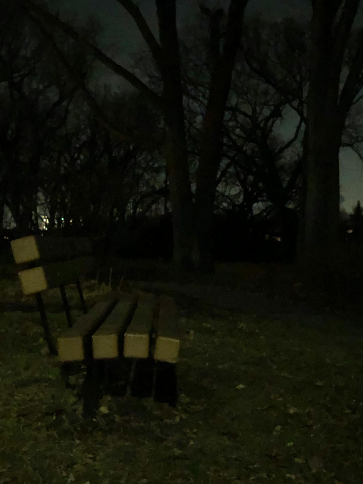 Bench At Night Iphone