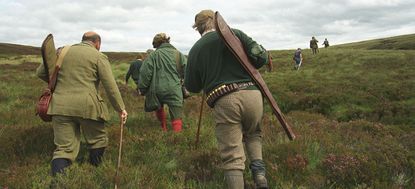 Grouse shooting in the Scottish Highlands