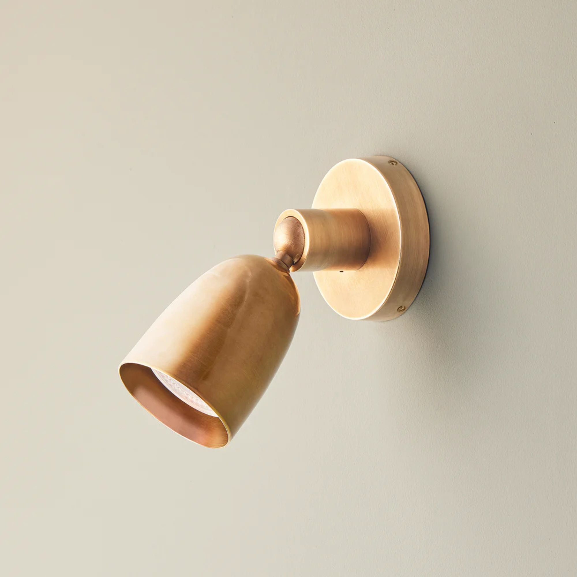Zingo Spot Light