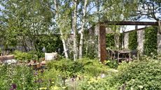 A garden featuring trees and seating areas at the Chelsea Flower Show 2024