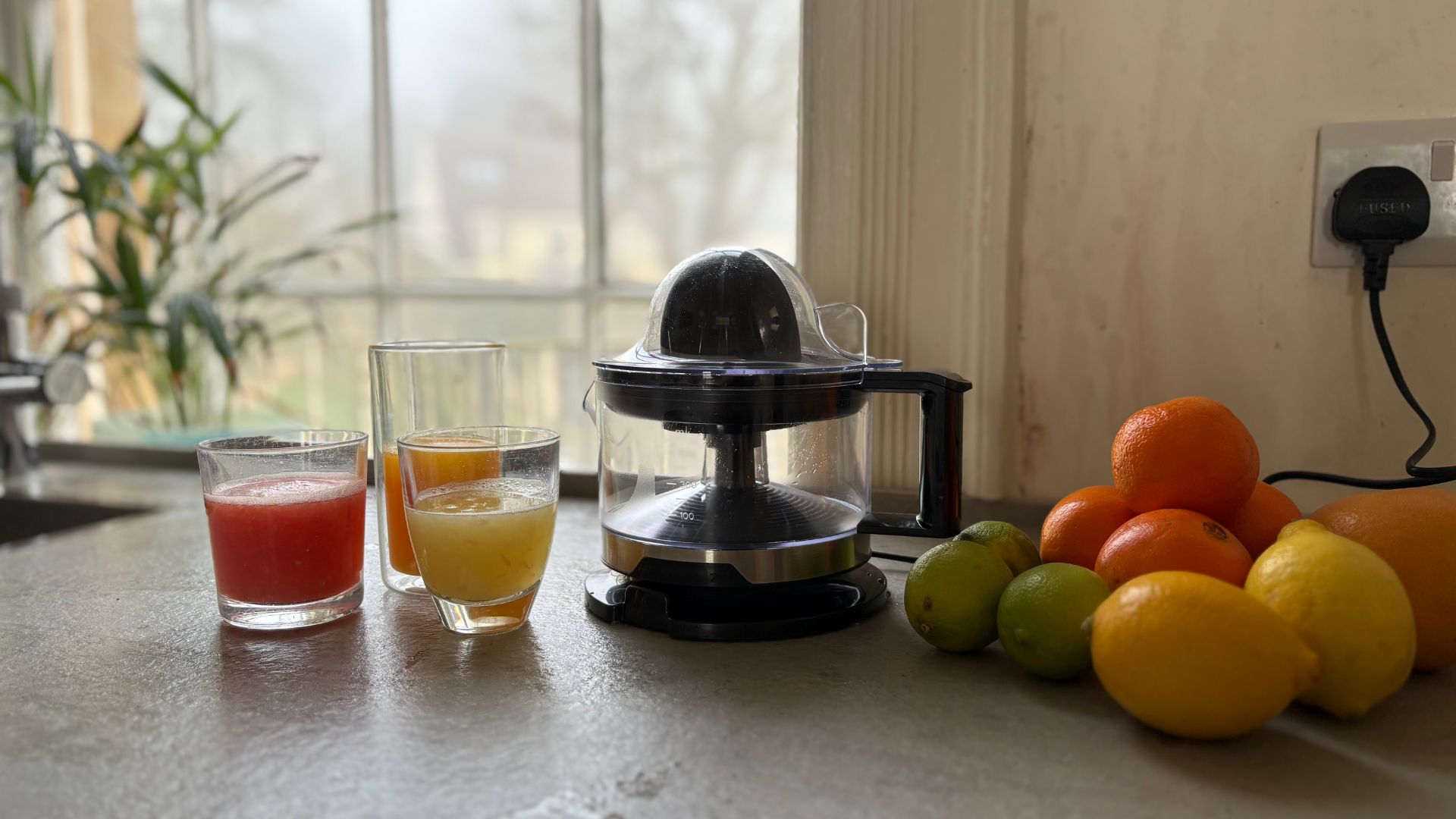 Testing the Salter Electric Citrus Juicer