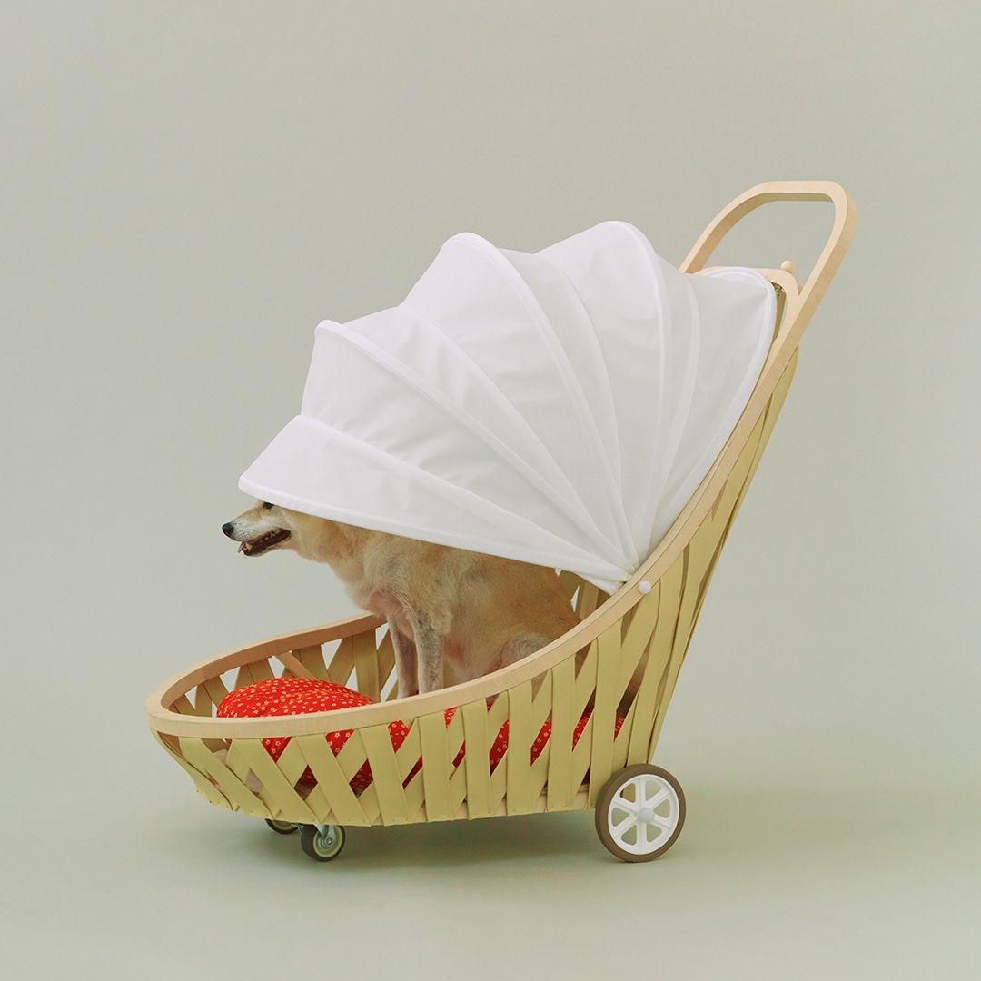 Dog kennel