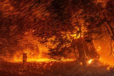Wind and flames rip through an area near Geyserville, California, during the Kincade Fire on Oct. 24, 2019. 