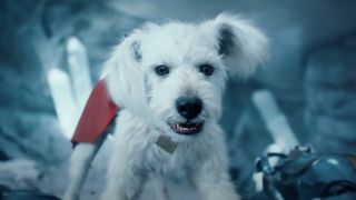 Krypto aggressively barking in Superman's Fortress of Solitude