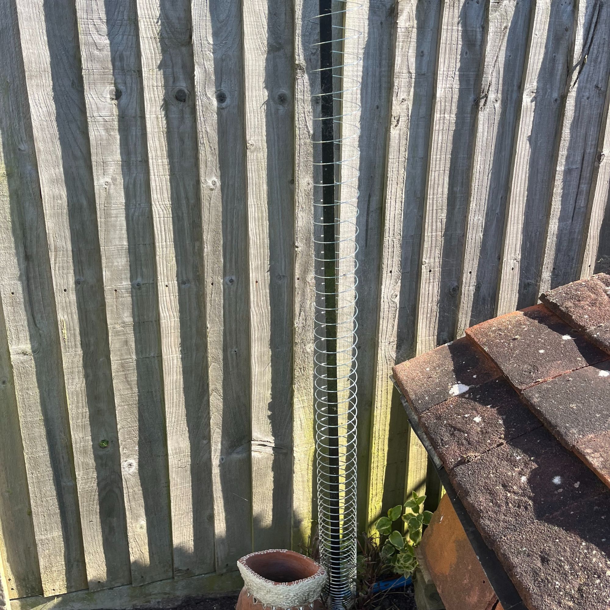 DIY Slinky plant support