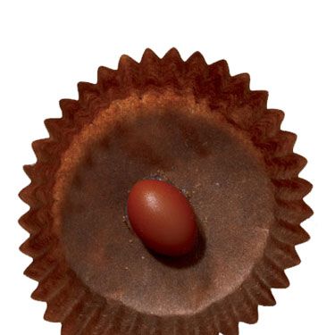 phyto plage phytosolaire pill in a paper candy cup