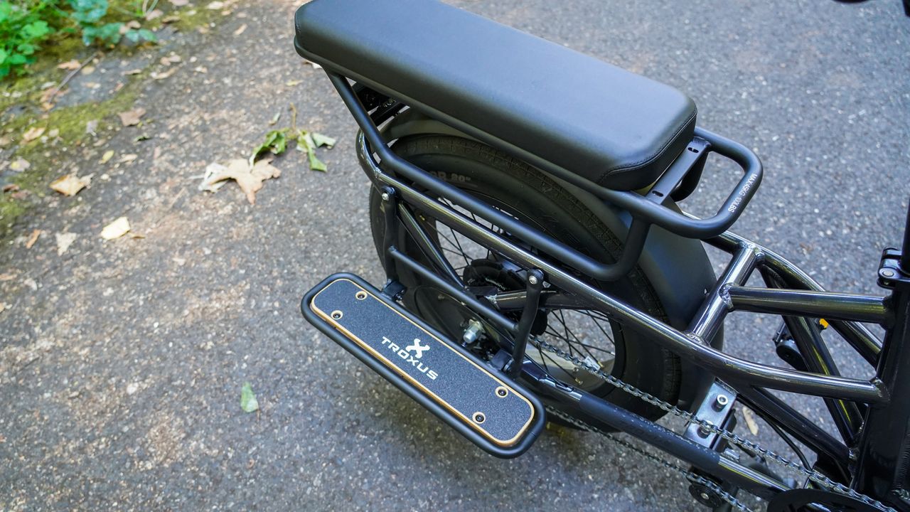 Troxus Lynx Cargo E-Bike