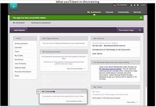 Video Tutorial: Blackboard Learn™ 9.1 Service Pack 14 - Student Training