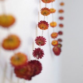 Embrace Sustainability With Dried Flowers