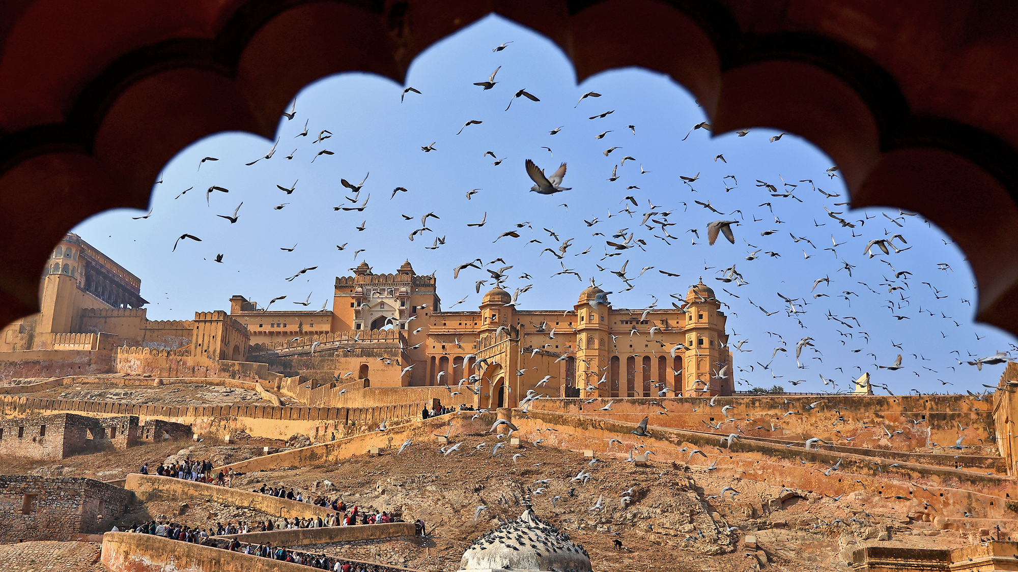 Pigeons flock above a throng of tourists visiting Amer Fort in Jaipur, India